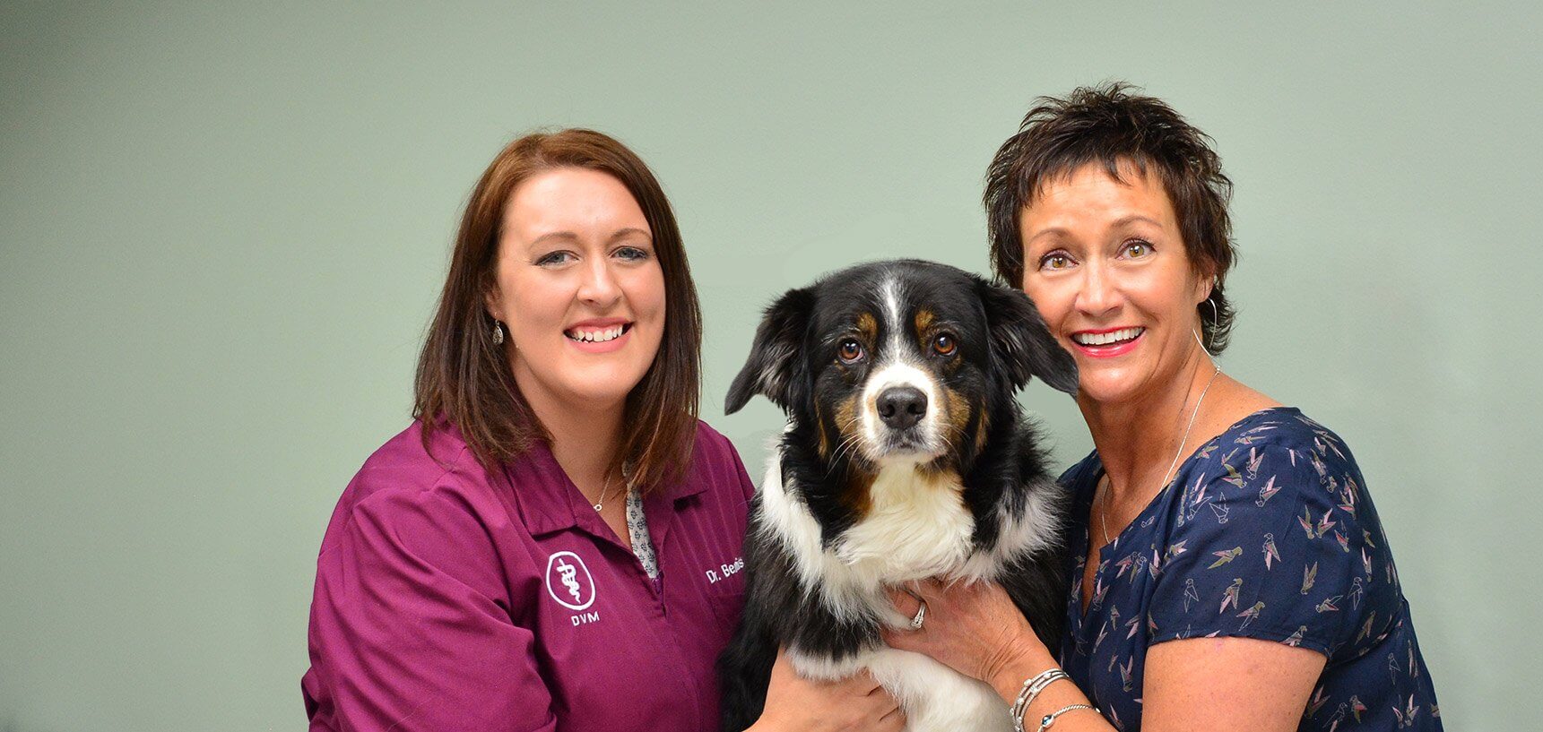 Animal Hospital in Crystal Lake, McHenry County IL