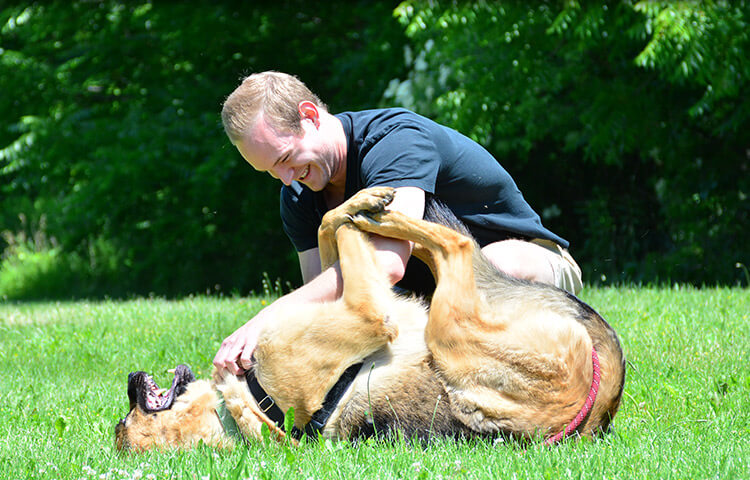 Pet Play Time in McHenry County IL