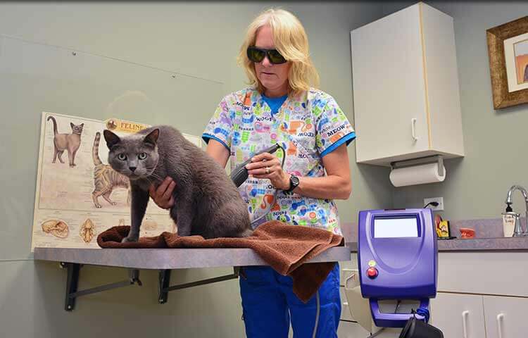 Laser Therapy Treatments