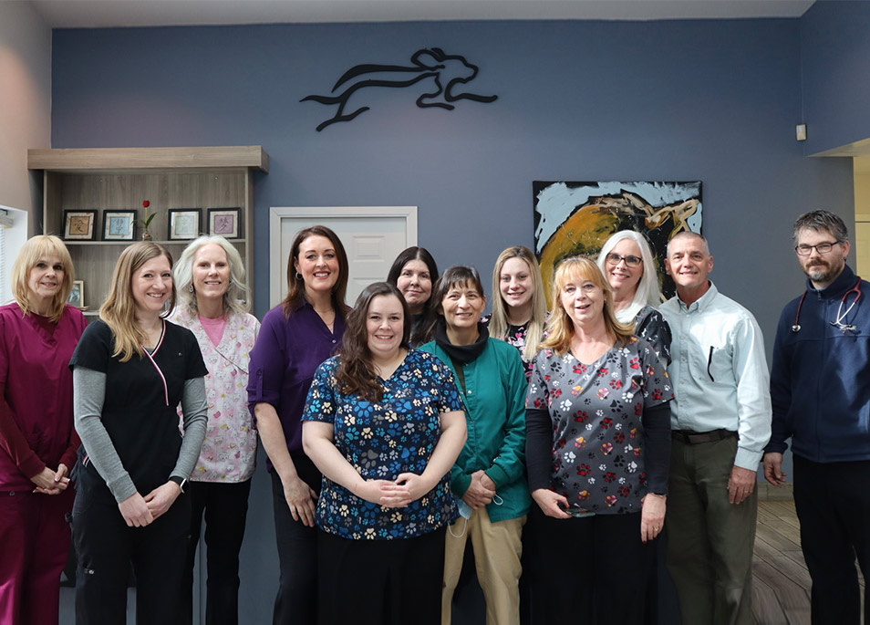 Meet our team at Crystal Lake Veterinary Hospital in McHenry, IL